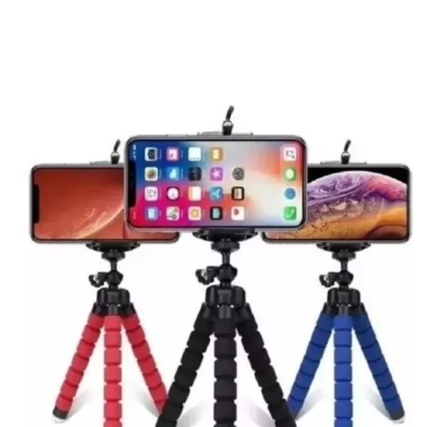 TRIPOIDE PULPO CELULAR