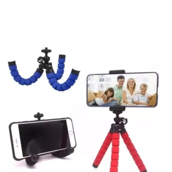 TRIPOIDE PULPO CELULAR