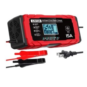 Cargador Baterías 12V/24V-8A